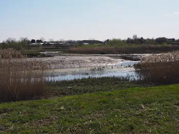 Kalkense Meersen (België)